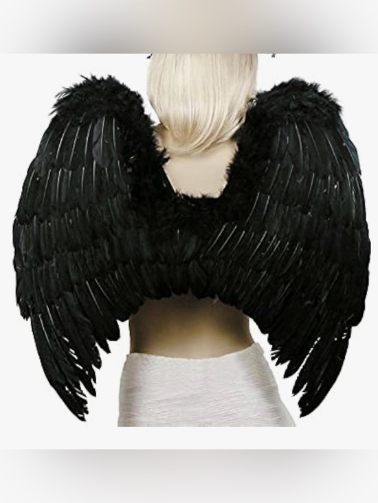 Accessories - Fallen Angel Wings Costume Accessory